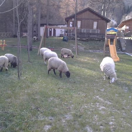 Salza di Pinerolo B&B La Miando المظهر الخارجي الصورة