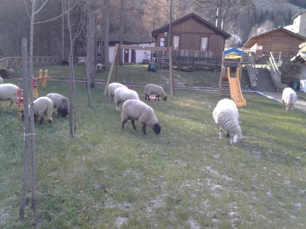 Salza di Pinerolo B&B La Miando المظهر الخارجي الصورة
